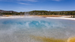 USA / Wyoming / Yellow Stone National Park