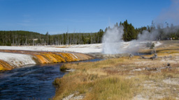 USA / Wyoming / Yellow Stone National Park