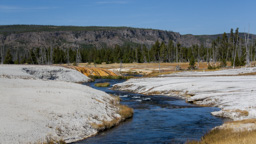 USA / Wyoming / Yellow Stone National Park