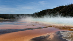 USA / Wyoming / Yellow Stone National Park