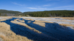 USA / Wyoming / Yellow Stone National Park