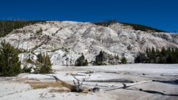 USA / Wyoming / Yellow Stone National Park