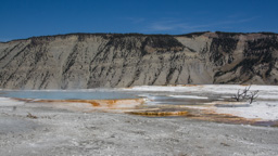 USA / Wyoming / Yellow Stone National Park