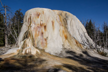 USA / Wyoming / Yellow Stone National Park