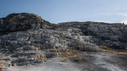 USA / Wyoming / Yellow Stone National Park
