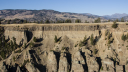 USA / Wyoming / Yellow Stone National Park