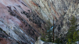 USA / Wyoming / Yellow Stone National Park
