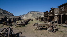 USA / Wyoming / Cody