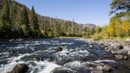 USA / Wyoming / Cody