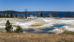 USA / Wyoming / Yellow Stone National Park