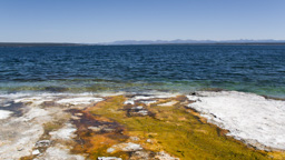 USA / Wyoming / Yellow Stone National Park