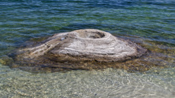 USA / Wyoming / Yellow Stone National Park