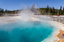 USA / Wyoming / Yellow Stone National Park