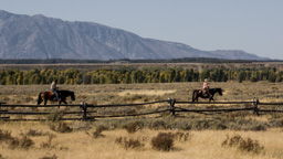 USA / Wyoming / Jackson