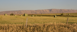 USA / Wyoming / Afton