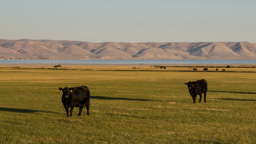 USA / Wyoming / Afton