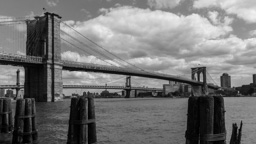 USA / New York / New York