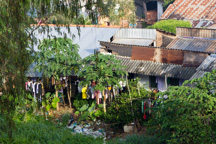 Vietnam /  / Tanh Hoa