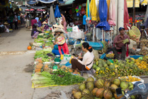 Vietnam /  / Tanh Hoa