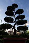 Vietnam /  / Saigon