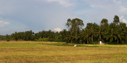 Vietnam /  / Tanh Hoa