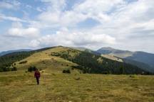 Österreich / Steiermark / Terenbachalm