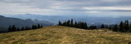 Österreich / Steiermark / Terenbachalm