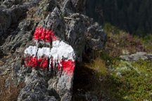 Österreich / Steiermark / Terenbachalm