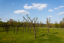 Weissrussland /  / Mogilev