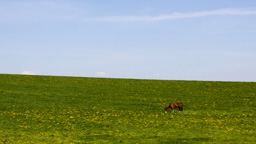 Weissrussland /  / Shklov