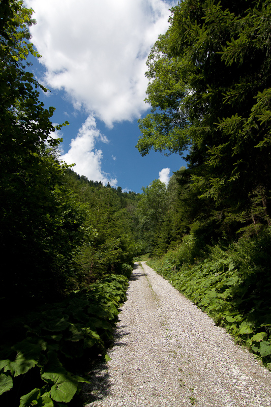 Österreich - Oswaldgraben