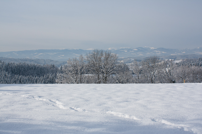 Österreich - Stallhofen